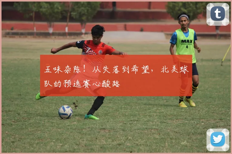 五味杂陈！从失落到希望，北美球队的预选赛心酸路
