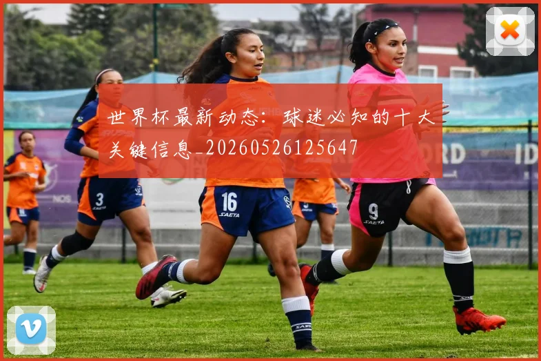 世界杯最新动态：球迷必知的十大关键信息_20260526125647